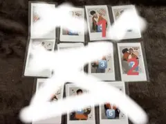 Showy2 wild1専用出品