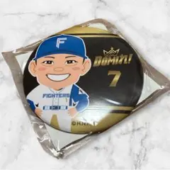 DOMIれ！ 缶バッチ