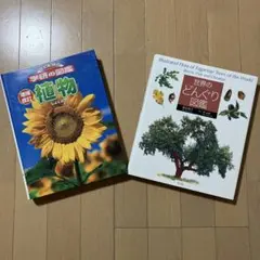 世界のどんぐり図鑑/学研の図鑑(増補改訂) 植物　2冊セット 世界のどんぐり図鑑、日本どんぐり大図鑑 - メルカリ