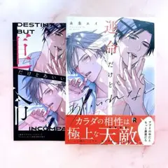 運命だけどあいいれない アニメイトセット特典20P小冊子 永条エイ
