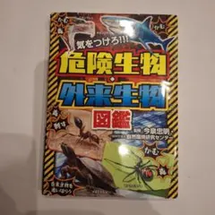 pink様 リクエスト 3点 まとめ商品