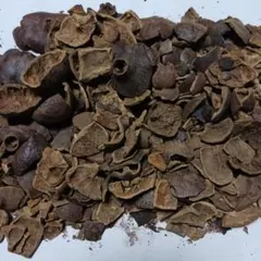 Item thumbnail for item e0438ef3-efb5-418b-bea4-5238a0de2366