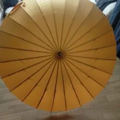 Item thumbnail for item 4f1ea8c5-8fbb-4d94-813b-f0fd29bf221e