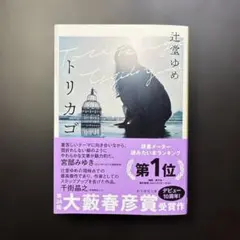 トリカゴ　辻堂ゆめ