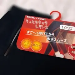 レディースレギンス 裏起毛 GUNZE 160デニール M〜L