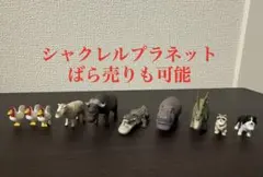 2025年最新】シャクレルプラネットまとめ売りの人気アイテム