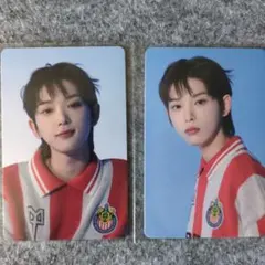 &TEAM パウプリ トレカ 2枚セット HARUA