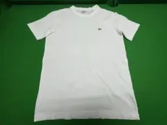 ★中古美品★LACOSTE ラコステ ホワイト Tシャツ サイズ4
