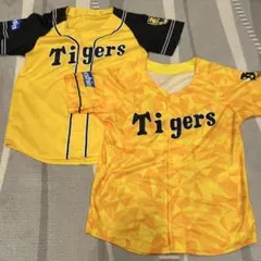 Item thumbnail for item f8a6336f-6aec-41ab-b33a-bc29e0b33a57