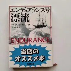 エンデュアランス号漂流