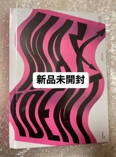 Stray Kids MAXIDENT 限定盤 新品未開封