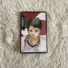 ハイキュー!! ボドゲ ボードゲーム 援 牛島若利 10枚セット