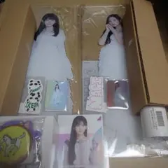 Item thumbnail for item 477432ea-7911-4cdf-a5bd-c6b56812cd46