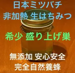 fu&hi様専用食べ比べ 日本ミツバチ 幻のキラキラ盛り上げ巣＆とろとろ セット