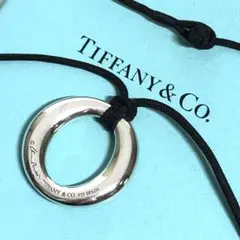 TIFFANY & Co. セビアナ サークル ブローチ Ag925 - メルカリ
