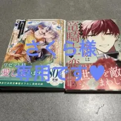 ☆さくら様専用です❣️