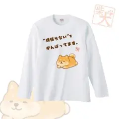 n783【複数購入可】白 プリント Tシャツ 柴犬 癒し ユニークTシャツ M