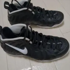 NIKE Air Foamposite One Black White　ポジット