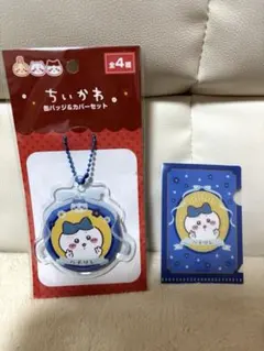 ちいかわ　ハチワレ　キャンドゥ　コラボ