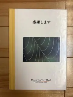 感謝します Thank You Very Much レア