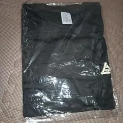激レア HARAKIRI KOCORONO Tシャツ NUMBER GIRL - メルカリ