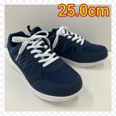 Item thumbnail for item d95bd5de-94a2-4952-897b-0c21fb4fd559