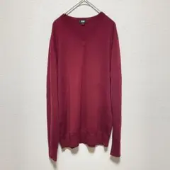 UNIQLO エクストラファインメリノ Vネックセーター Lサイズ メンズ