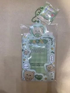チェゴシム チャーム付きフォトキーホルダー トレカケース　グリーン