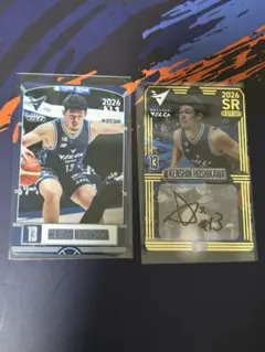 Item thumbnail for item 7bbae9a6-38ac-478d-bb36-ee6974db370e