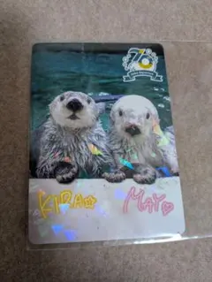 2026年最新】鳥羽水族館コレクションカードの人気アイテム - メルカリ