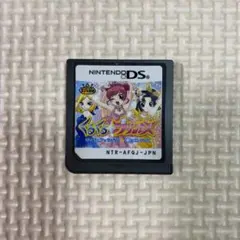 くるくるプリンセス　ニンテンドーDS ソフト
