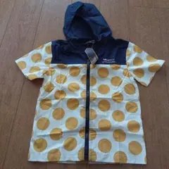 Item thumbnail for item f06aaa22-3726-4e77-b350-f7a12f474956