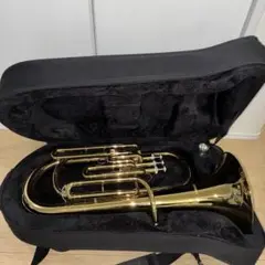 Item thumbnail for item 7cde3ec3-7ac0-4d9b-9616-bd85eefec019