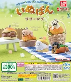 いぬぱん リターンズ　全5種