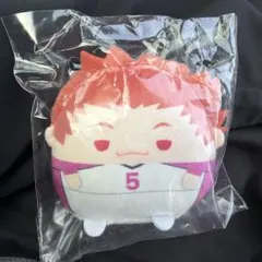 ハイキュー ぬいくじ2 天童覚 | Mercari