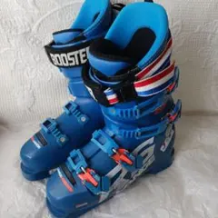 Item thumbnail for item 7ee8a958-f76a-4c69-8877-76486f5ac406