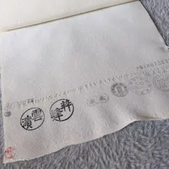 Item thumbnail for item 55857a87-5416-4e56-ab0e-83632e87f60a