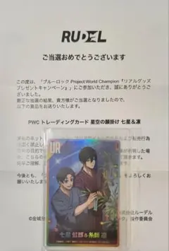 2025年最新】pwc カードの人気アイテム - メルカリ