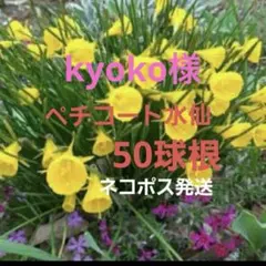 kyoko様 リクエスト 2点 まとめ商品