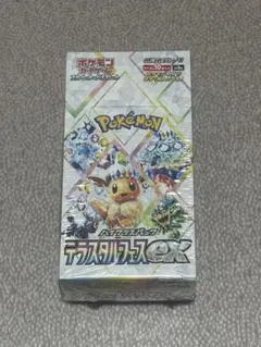 ポケモンカードゲーム テラスタルフェスex