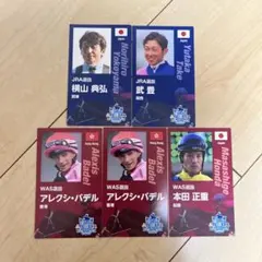 2025年ワールドオールスタージョッキーズ　カードセット　パンフレット付き