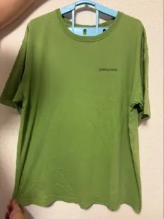 ⚠️⚠️大幅値下げ中！！⚠️⚠️Patagonia メンズTシャツ