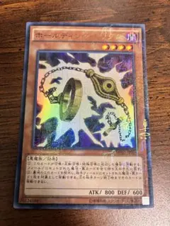 遊戯王 ホールディング・レッグス