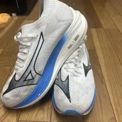 Mizuno NEO ZEN ネオゼン 27cm