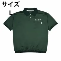 Item thumbnail for item 0c18bbd4-f911-4edb-9027-047d51a5331e