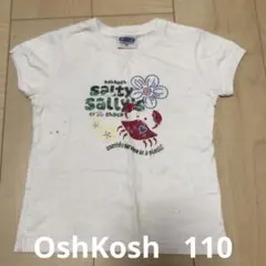 OshKosh オシュコシュ サルティ・サリー Tシャツ 半袖 キッズ 110