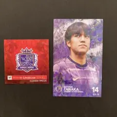 サンフレッチェ広島 スポーツカード