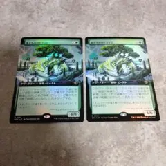 MTG　日本語版foil　まどろみのトラッジ　2枚セット
