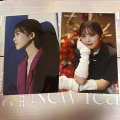 Item thumbnail for item 736abb51-90c3-4212-a11a-534460fceb5b