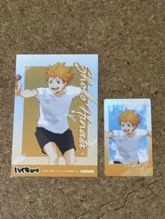 ハイキュー日向翔陽